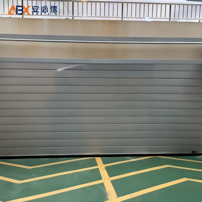 丽水市消防高速门
